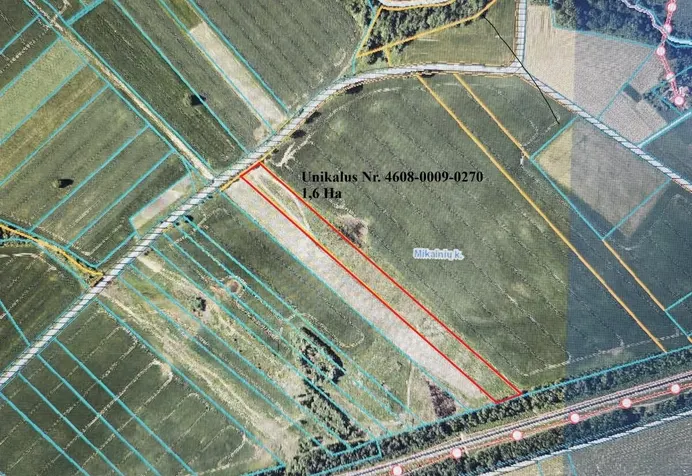 Listing image